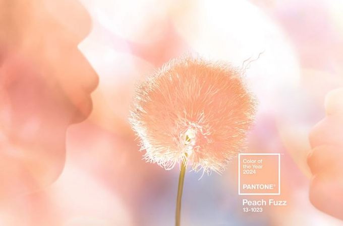 Peach Fuzz Pantone